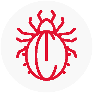 Acari