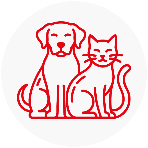 Cani e gatti