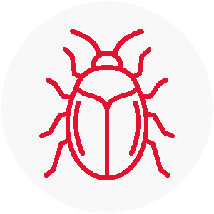 Cimici dei letti