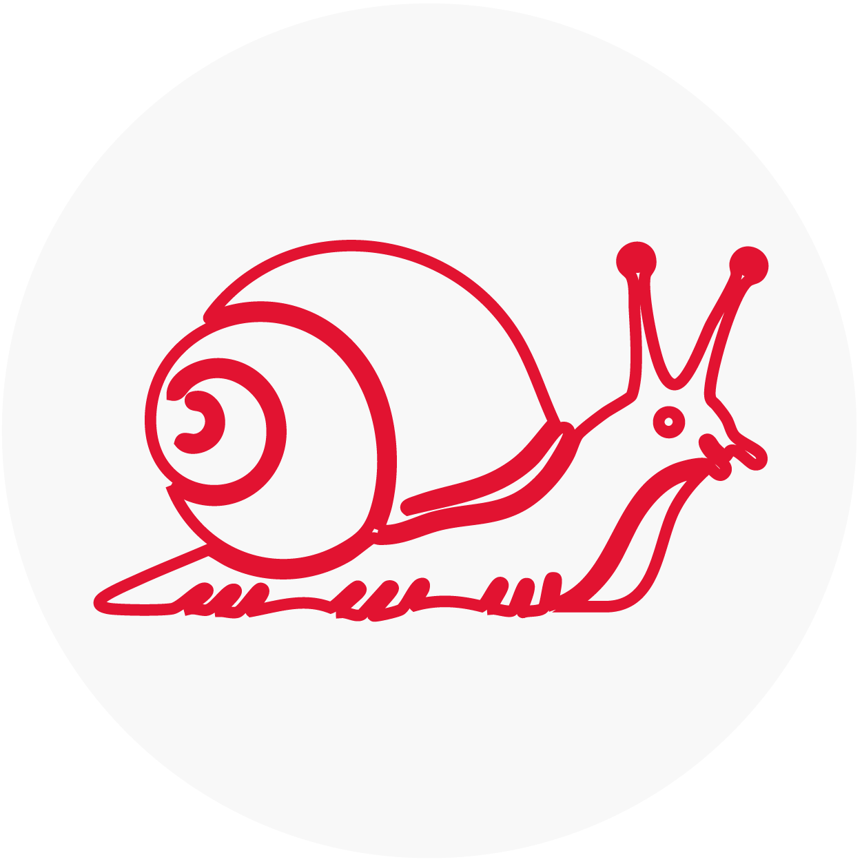 Lumache e limacce
