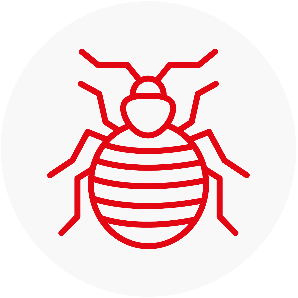 Pidocchi