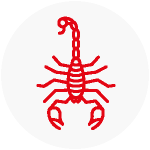 Scorpioni