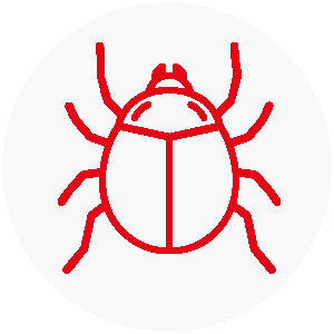Zecche
