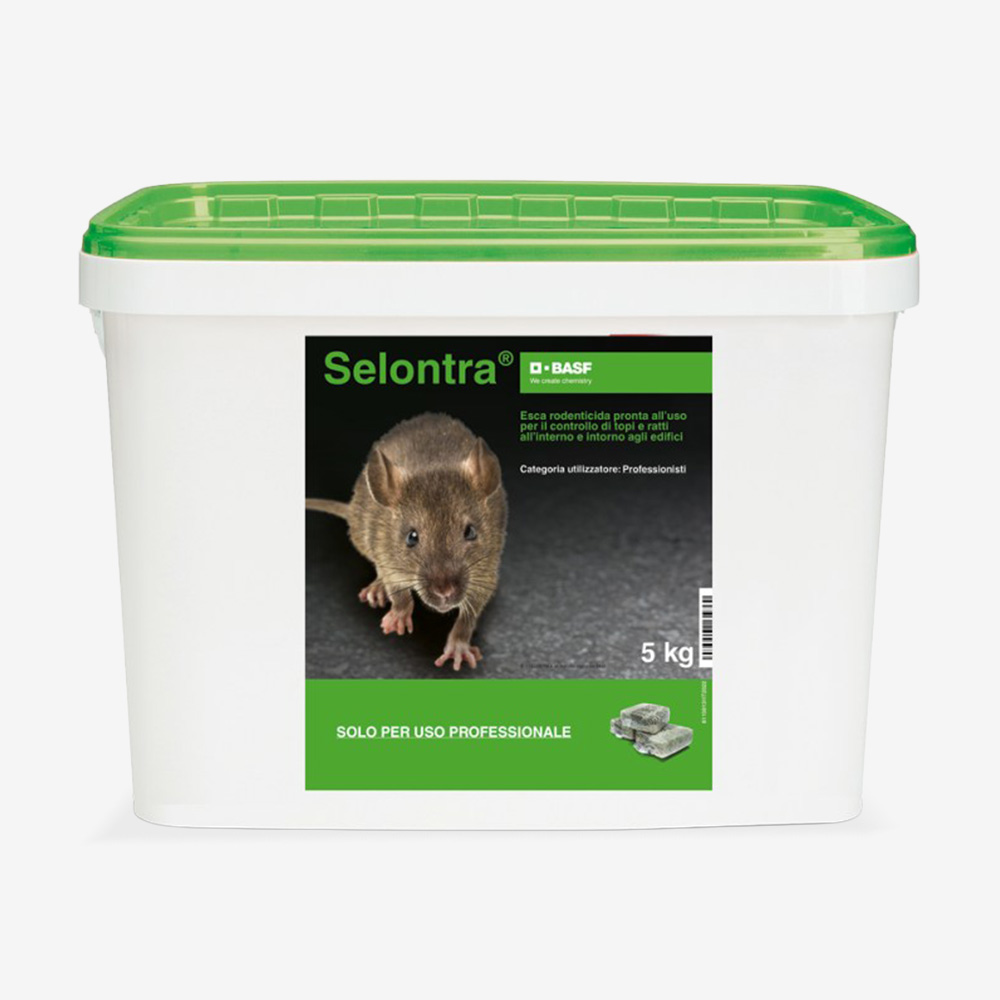 Selontra