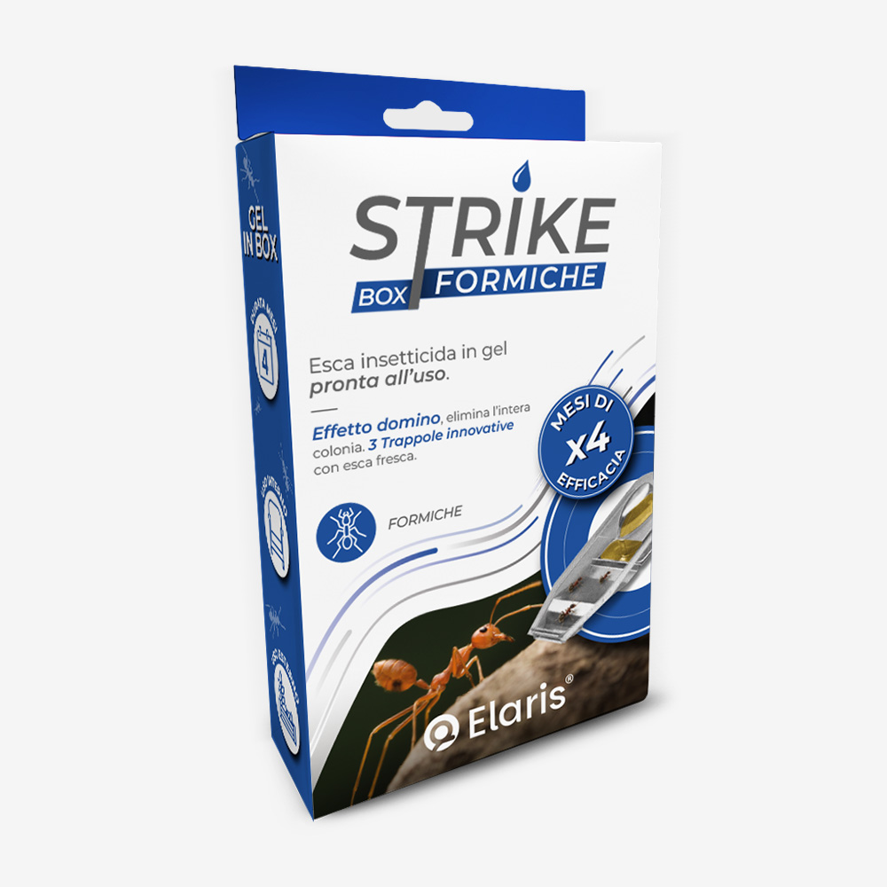 Strike® Box Formiche