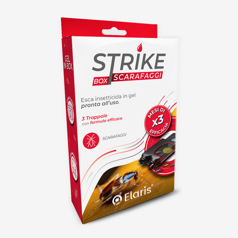 Strike® Box Scarafaggi